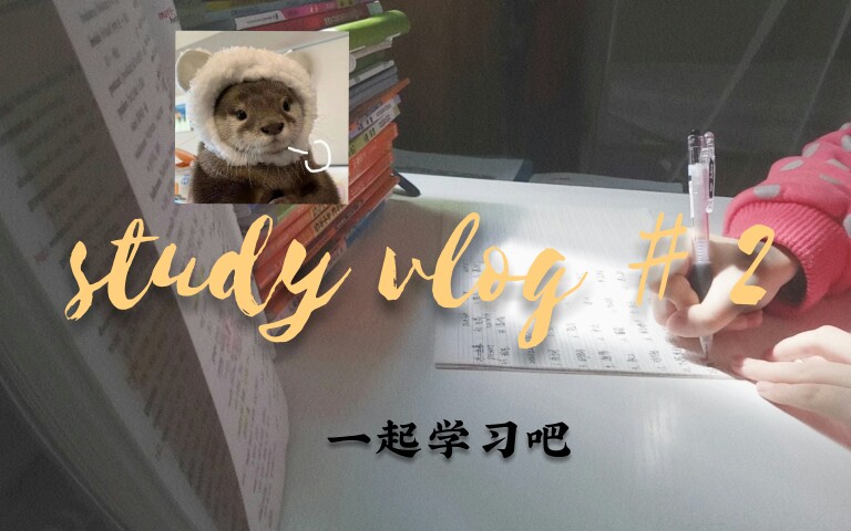 SA[阮软]study vlog#2|向着朝阳前行,而不是面对黑暗退缩|中考加油!|哔哩哔哩bilibili