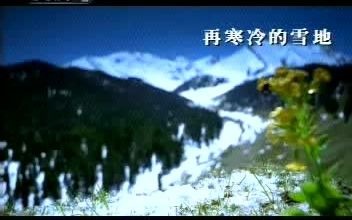 潍柴动力服务新干线2005年广告哔哩哔哩bilibili