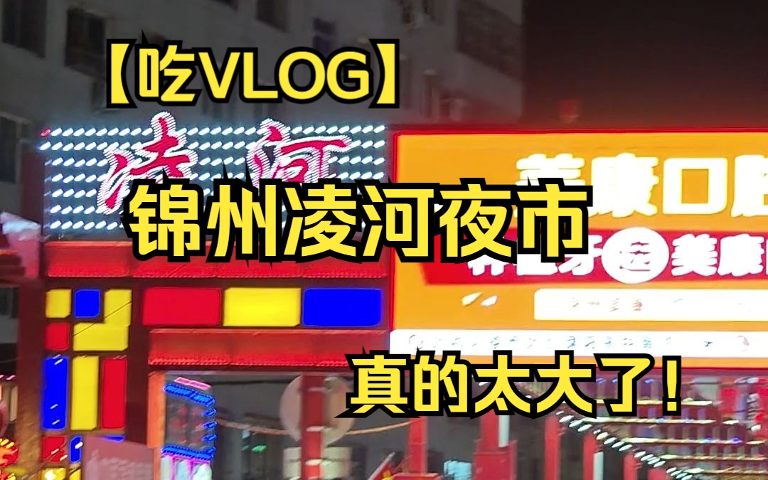 【吃vlog】十一去了锦州第一站,凌河夜市,真太大了!哔哩哔哩bilibili