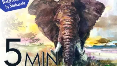 水彩画（象） 抽象画アート No.036 透明水彩紙 B4サイズ | kasui_artwork