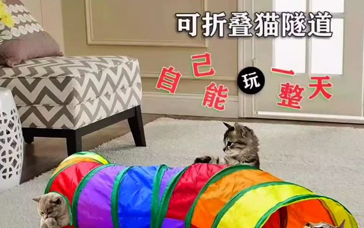 猫咪隧道 猫隧道迷宫通道自嗨解闷玩具折叠幼猫帐篷跑道猫钻洞躲避猫咪用品!哔哩哔哩bilibili