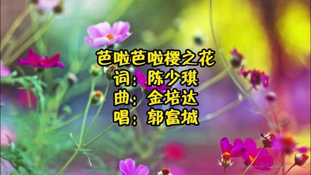 芭啦芭啦櫻之花(郭富城)