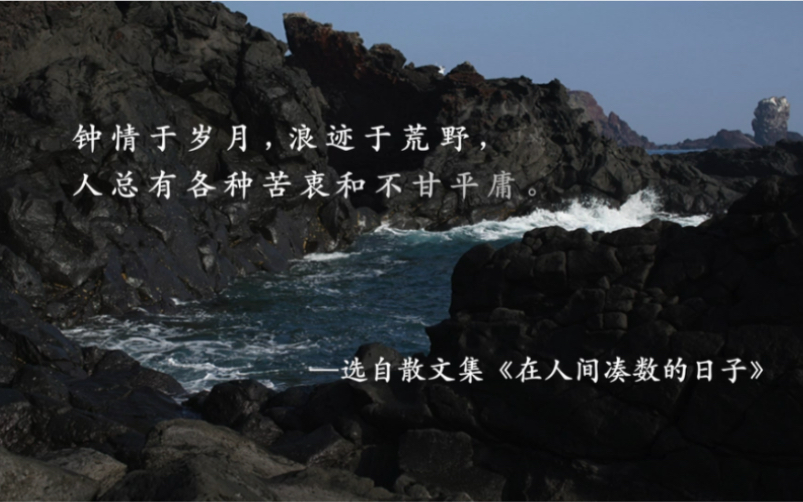 《在人间凑数的日子》第十集,收录自广大皮友