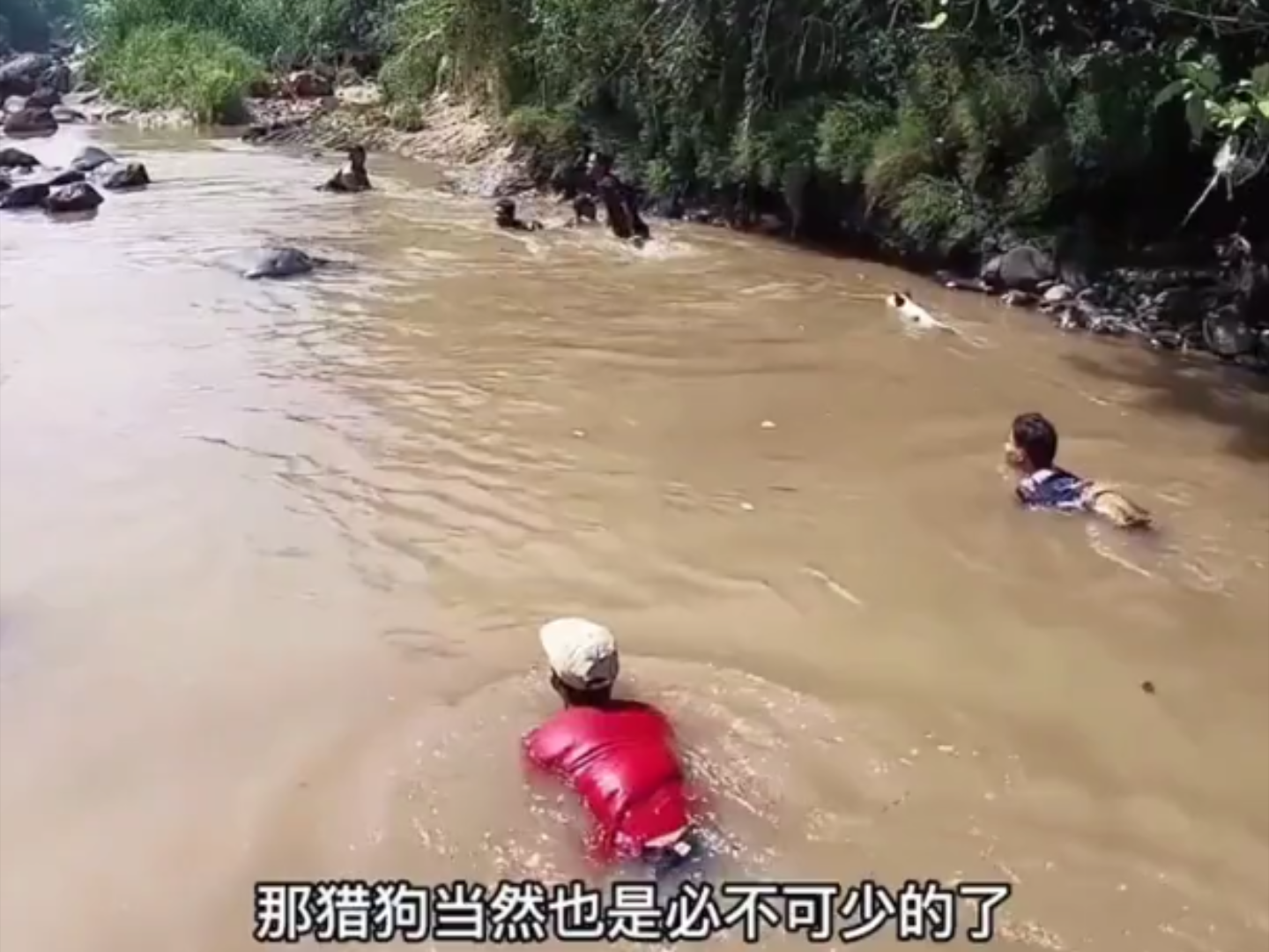 专业的捕猎队伍抓出来的水巨蜥让人不寒而栗哔哩哔哩bilibili