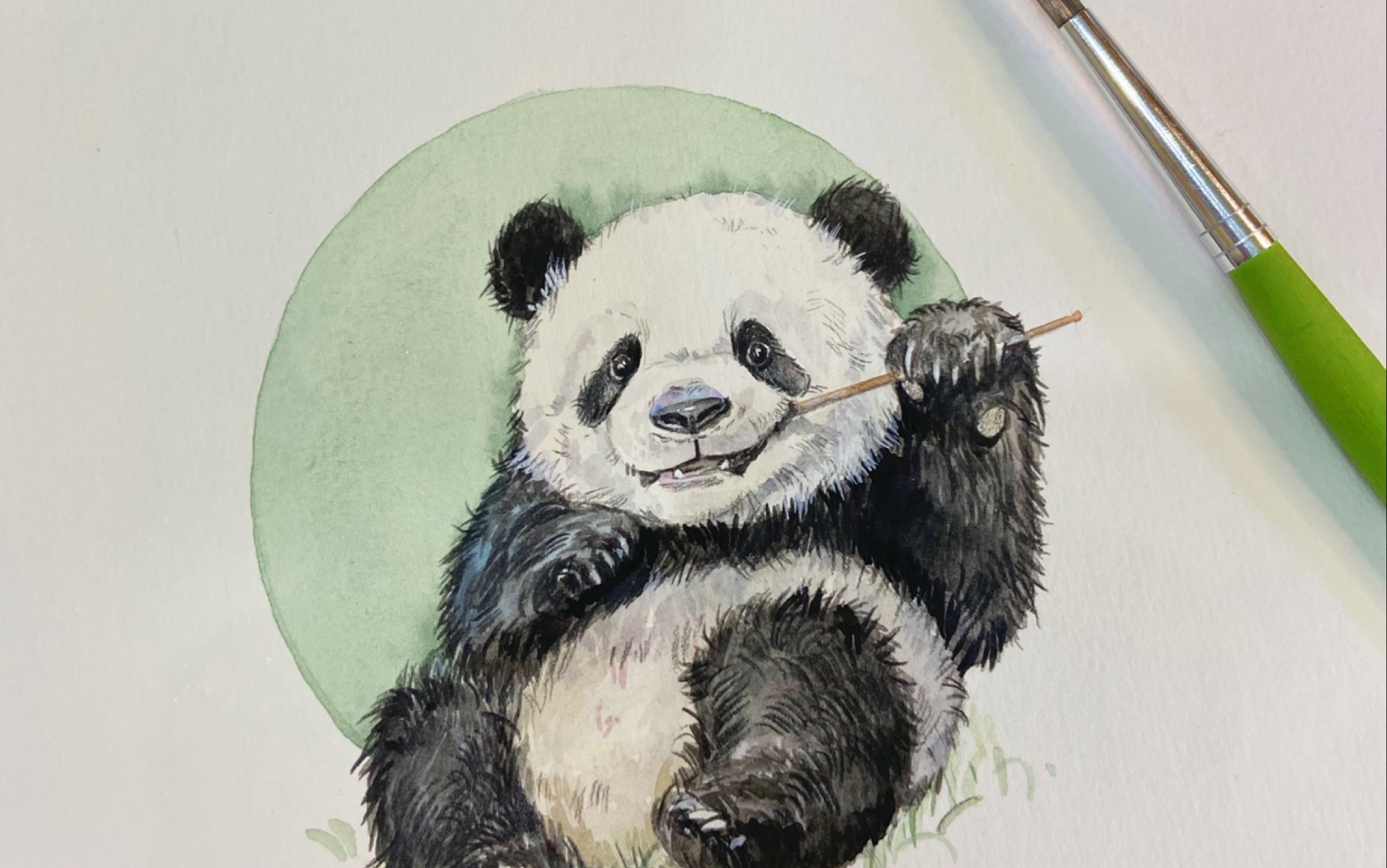 水彩61手绘61小熊猫9497教程步骤_哔哩哔哩_bilibili