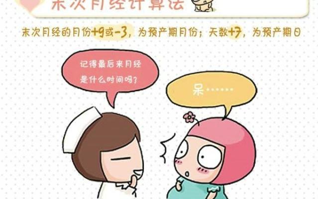 如何计算预产期哔哩哔哩bilibili