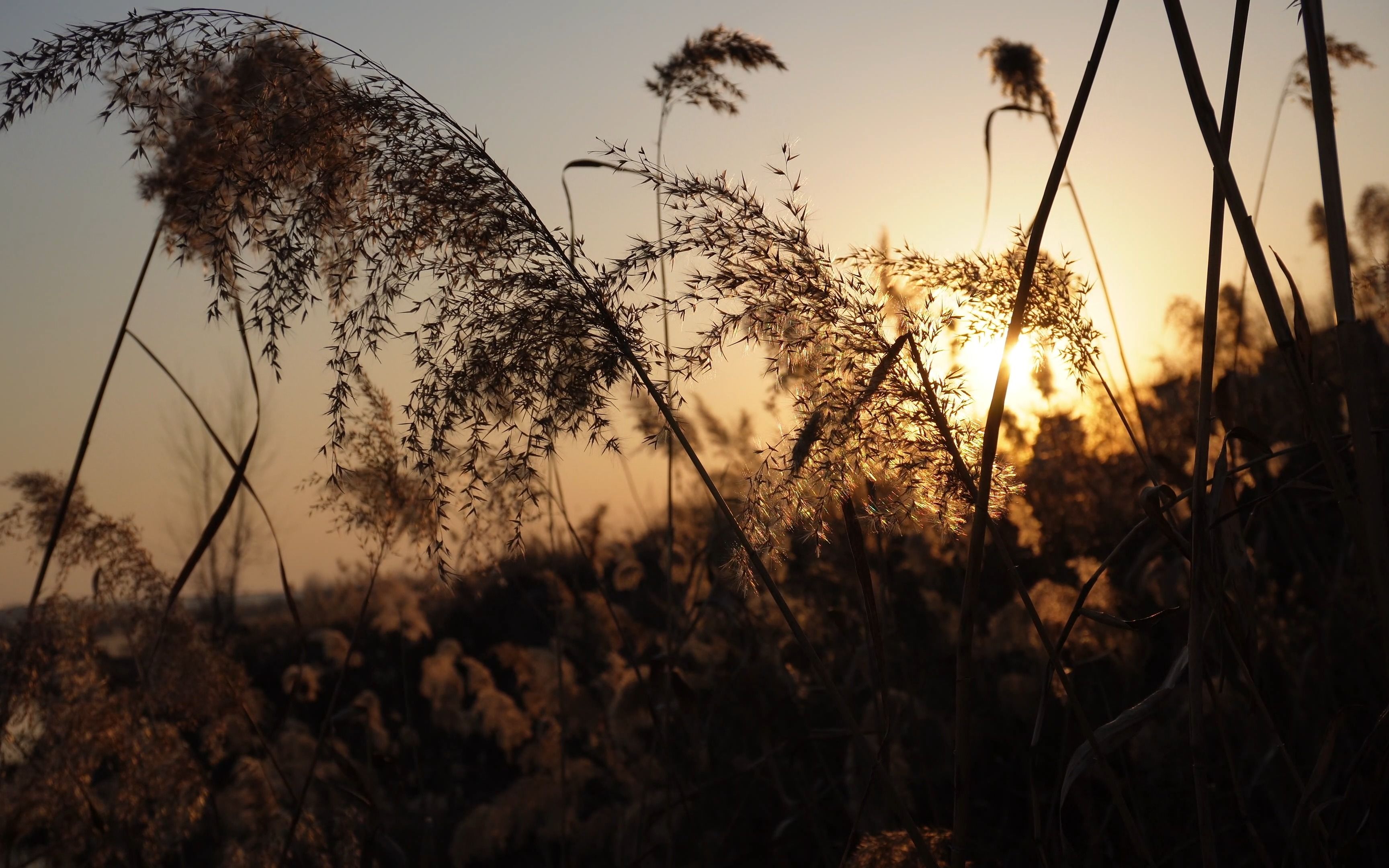 4k-治愈系风景-乡村风景-我的家乡-潍坊,眉村
