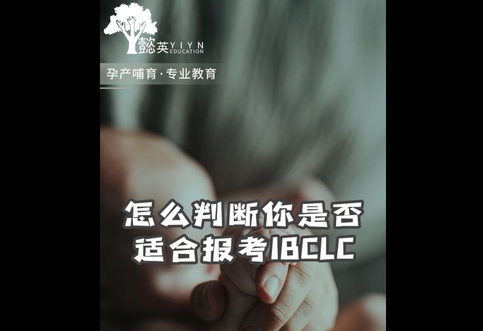 怎么判断你是否适合报考IBCLC#国际认证泌乳顾问哔哩哔哩bilibili