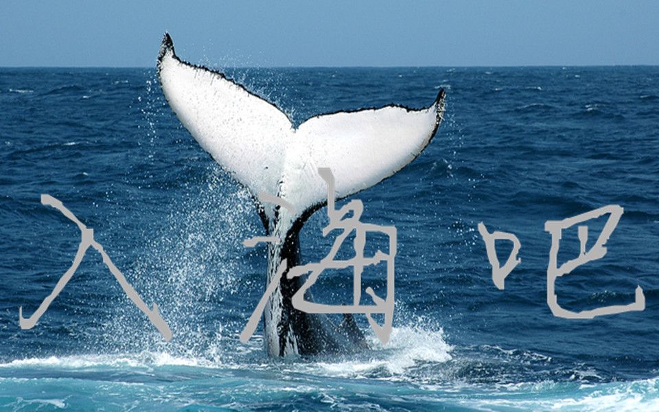 入海二创-----真实的海洋生物大家都在努力的生存