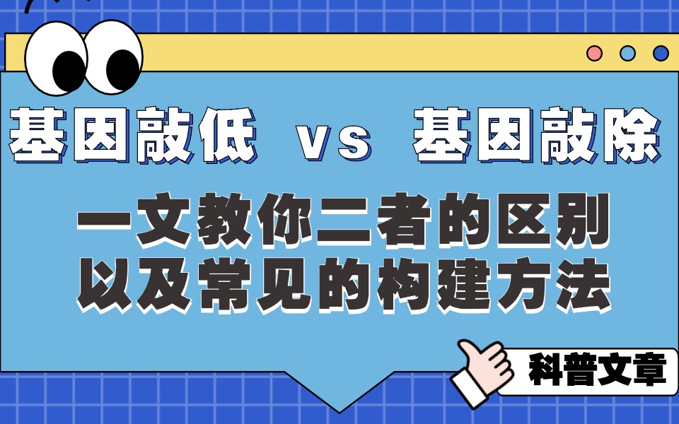 基因敲低 vs 基因敲除,你知道多少?一文教你二者的区别以及常见的构建方法哔哩哔哩bilibili