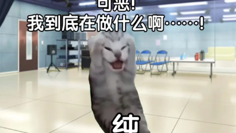 用猫MEME能看懂园一箱吗_哔哩哔哩_bilibili