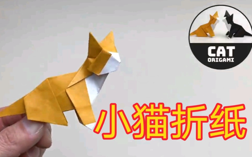 小猫折纸,动物折纸方法学习.哔哩哔哩bilibili