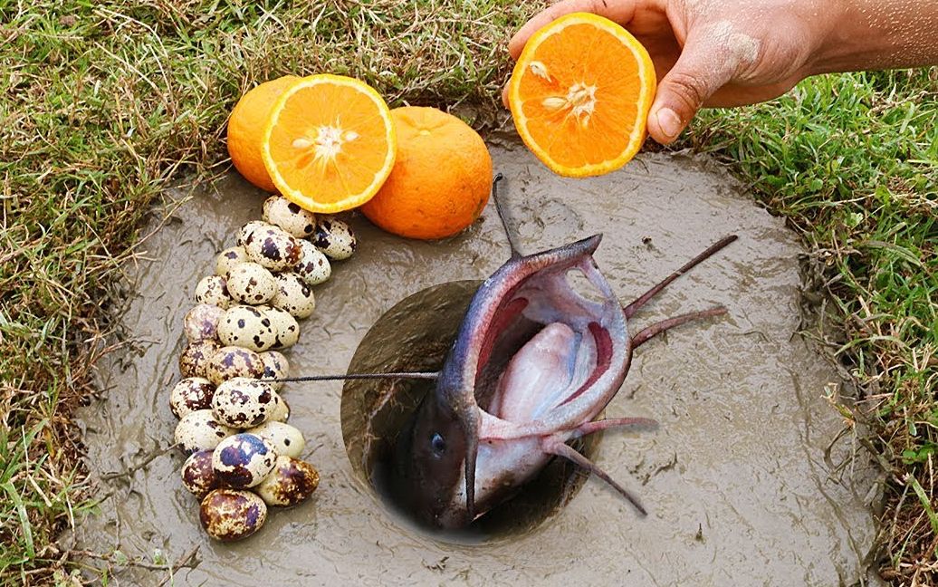 【go fishing】神奇的生活黑客用橙子和鸟蛋钓鱼