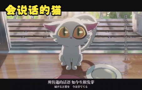 [图]新海誠「铃芽户缔」有声书——会说话的猫&会跑的椅子