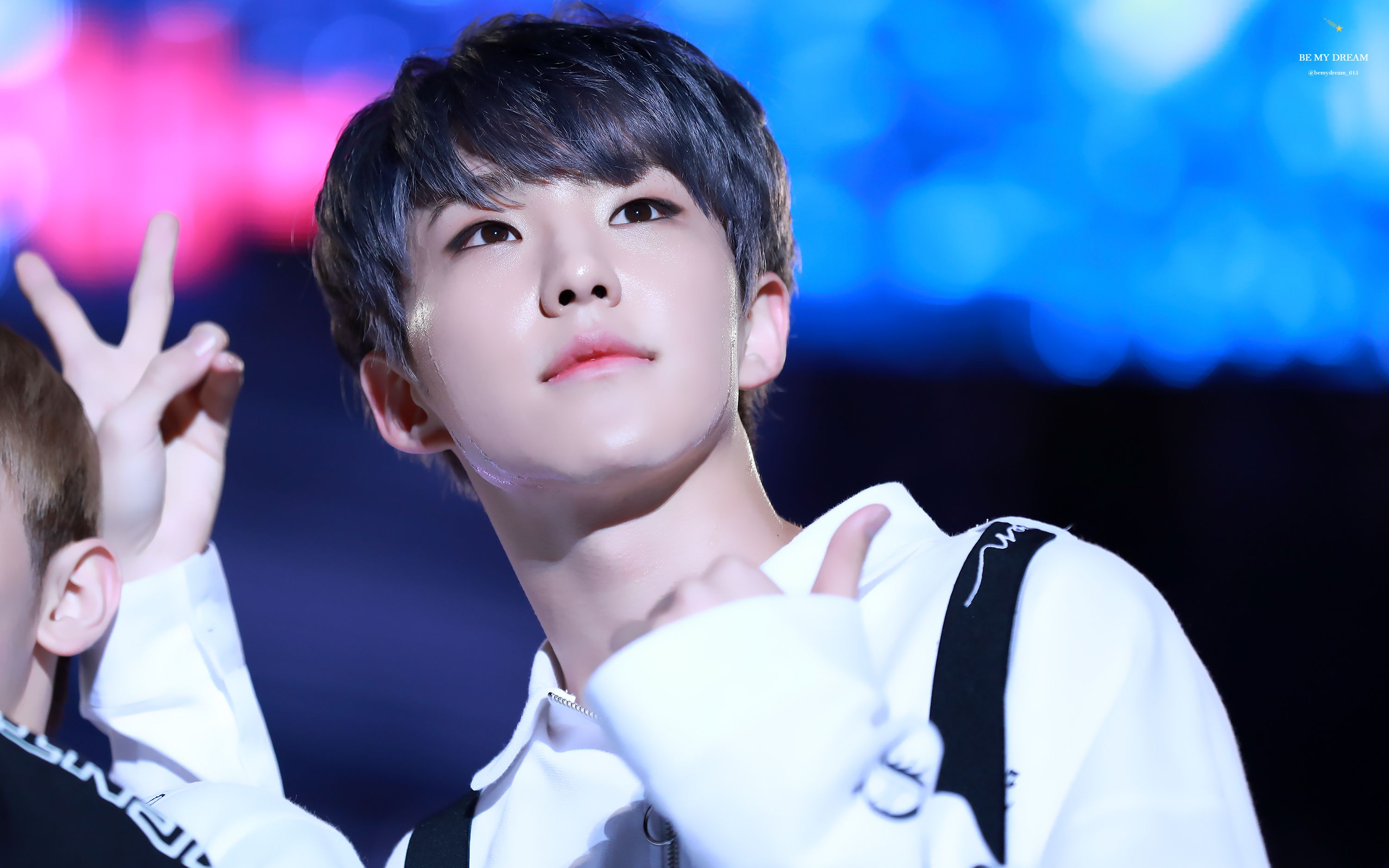 seventeen 权顺荣hoshi - very nice 直拍汇总