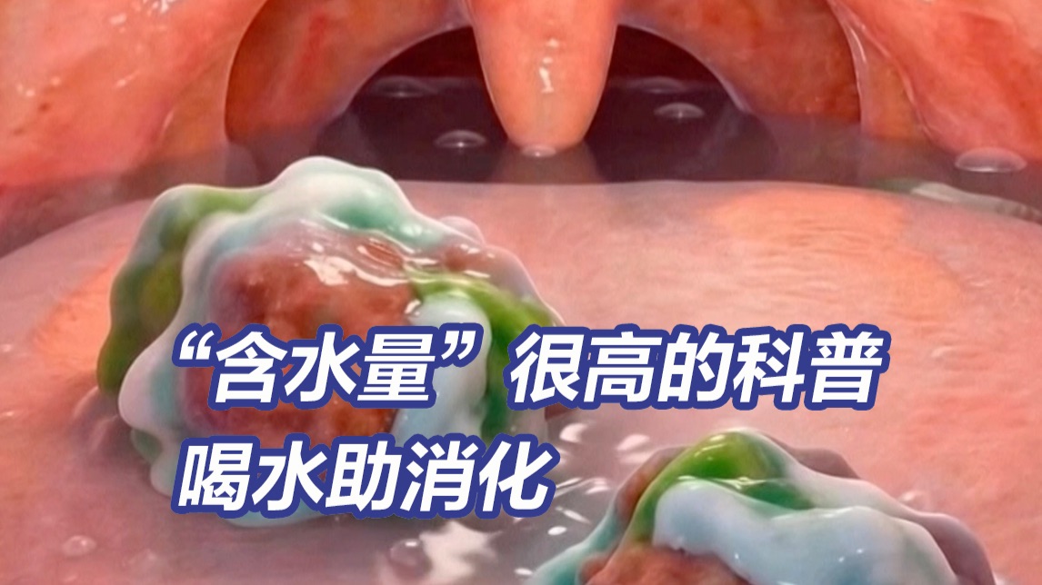 “含水量”很高的科普：消化之旅怎么能没有水