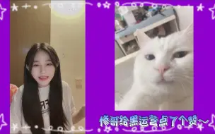 Tải video: 【苏杉杉】我不愿意和刘姝贤赤裸相对，会拧巴，吱哇乱叫