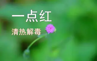 无名肿毒 搜索结果 哔哩哔哩 Bilibili