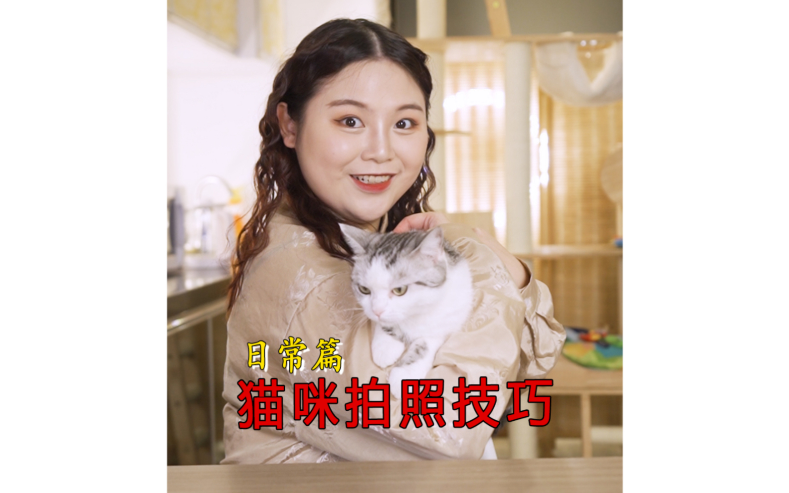 如何让猫咪成为国际超模?3招教你拍出猫咪大片!哔哩哔哩bilibili