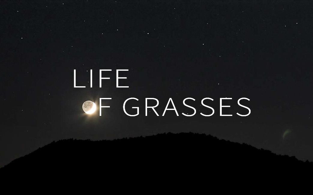 【致敬两年前的自己】Life of Grasses哔哩哔哩bilibili