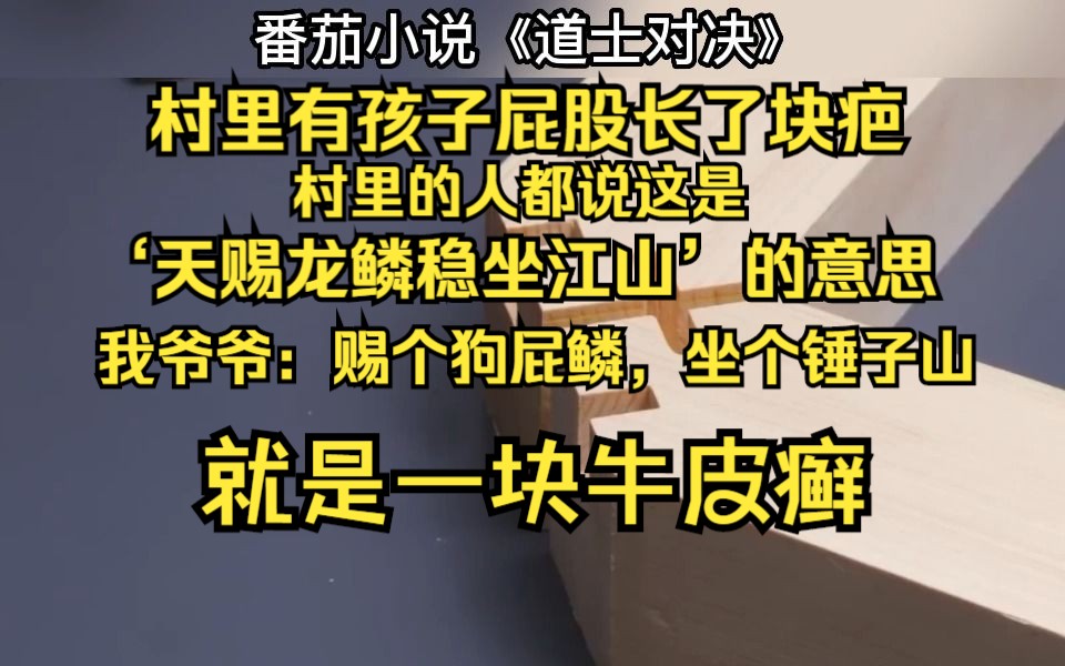 道士爷爷就喜欢跟人对着干,却因此引来另一个道士“比高低”?番茄小说《道士对决》哔哩哔哩bilibili