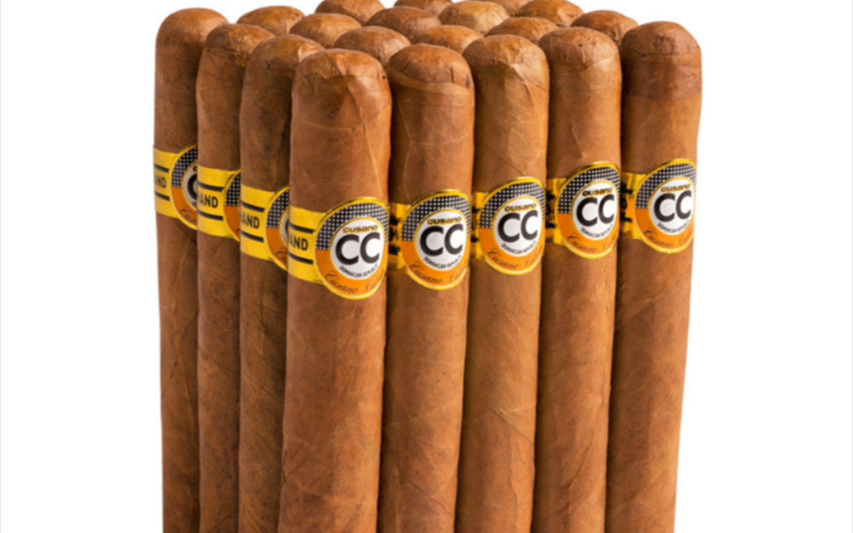 大卫杜夫子品牌 两美元的非古雪茄之卡萨诺cc cusano雪茄
