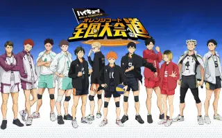 ハイキュー 搜索结果 哔哩哔哩 Bilibili