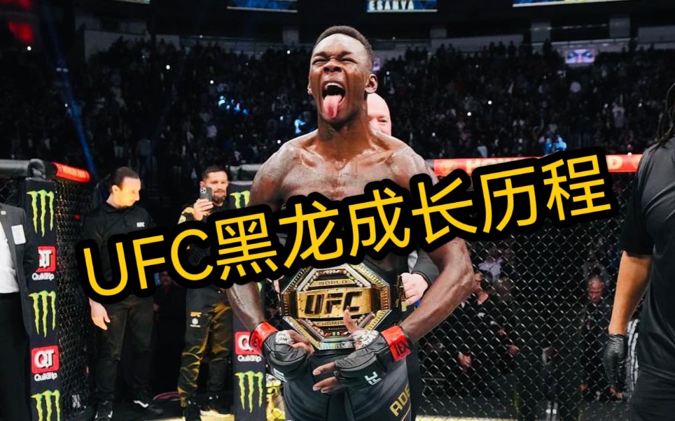 UFC中量级冠军黑龙成长历程哔哩哔哩bilibili