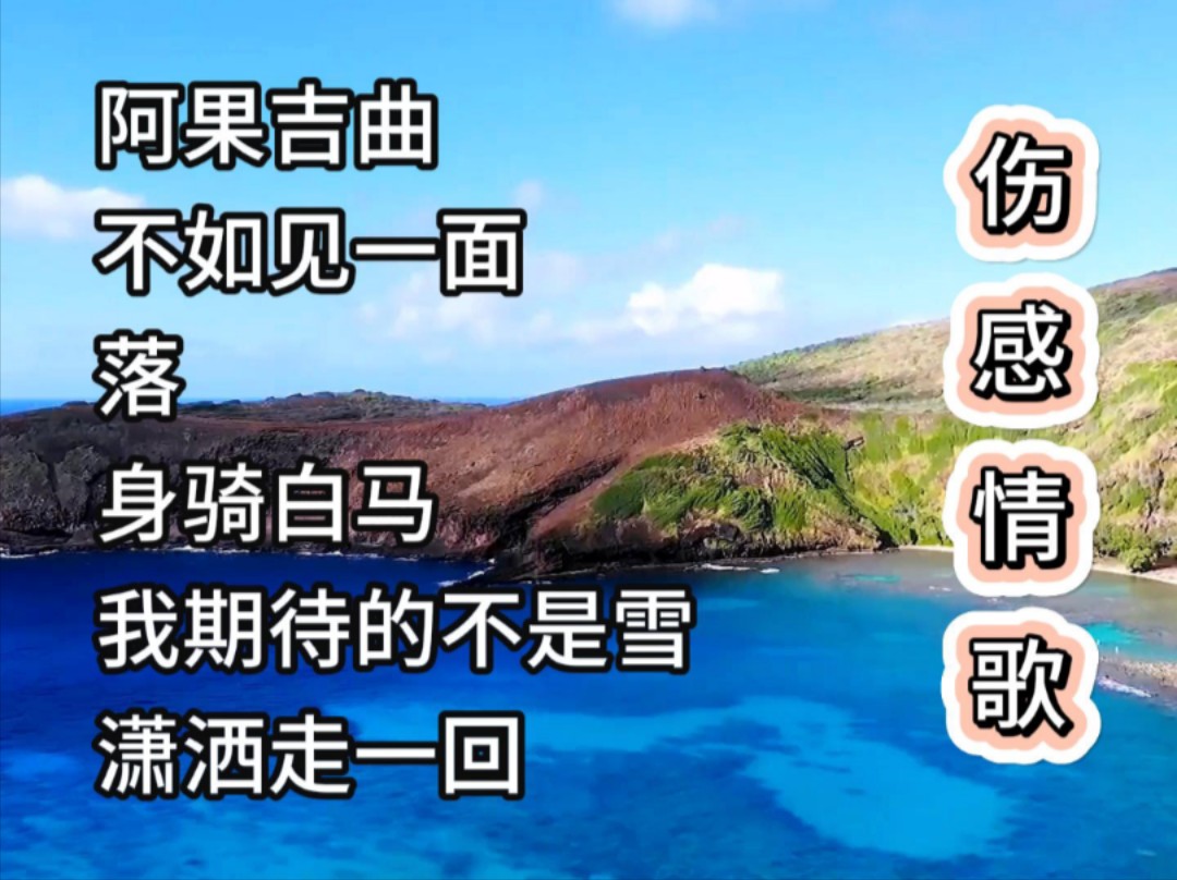 伤感的情歌如泣如诉,每一句歌词都仿佛刺入心底,让人痛彻心扉.哔哩哔哩bilibili