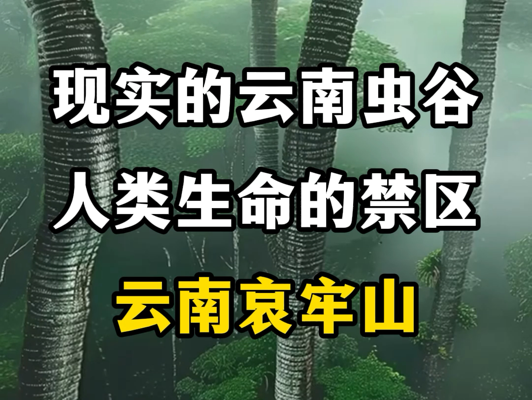 现实中的云南虫谷,人类生命的禁区,云南哀牢山.#旅行推荐官 #旅行大玩家 #游玩景点推荐 #云南是个好地方 #云南哀牢山哔哩哔哩bilibili