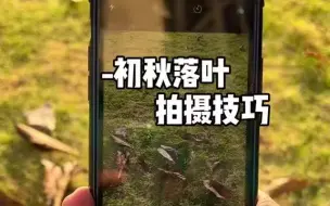 Download Video: “初秋的天冰冷的夜、回忆慢慢袭来，真心的爱就像落叶、为何却要分开”