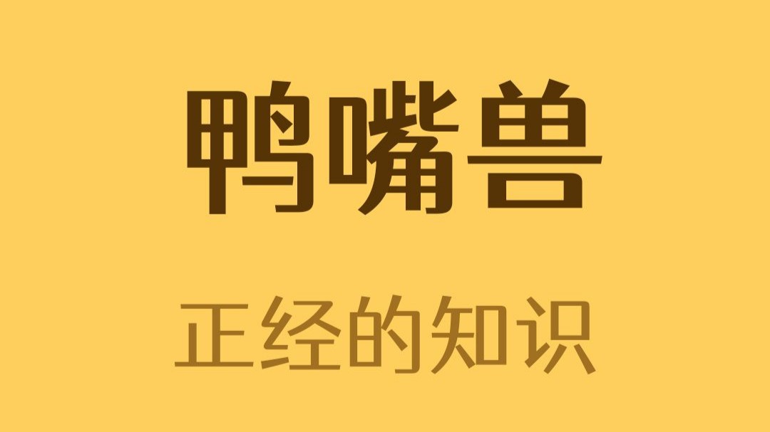 起初，人们以为鸭嘴兽的嘴是假的…-正经的知识-正经的知识-哔哩哔哩视频