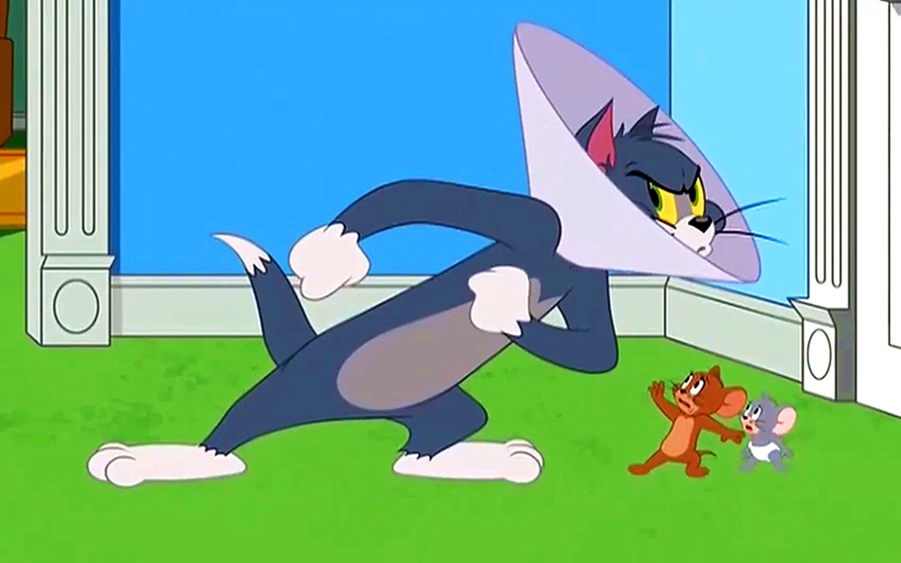 猫和老鼠:汤姆戏耍泰菲,却被杰瑞弄到重伤进医院