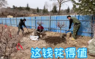 Скачать видео: 国家提出绿水青山就是金山银山，你们让我上山挖树，我看“刑”！