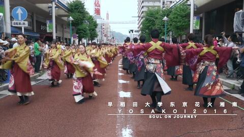 早稻田大学东京花火16年湘南yosakoi表演 哔哩哔哩 つロ干杯 Bilibili