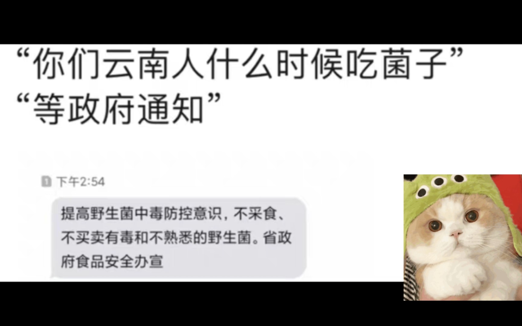 当你问云南人什么时候吃菌子,云南人:会有短信通知(≧▽≦)