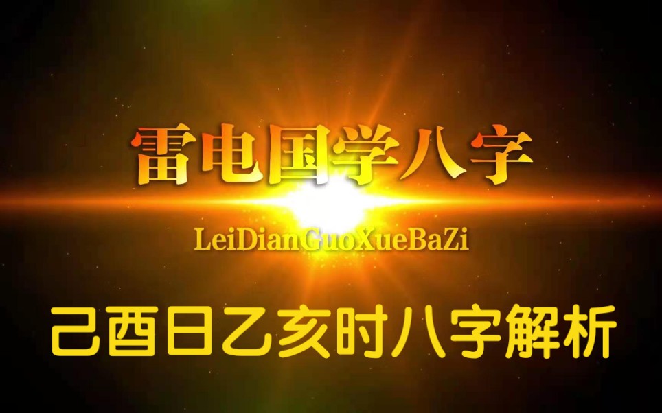 己酉日乙亥时八字实战解析.哔哩哔哩bilibili