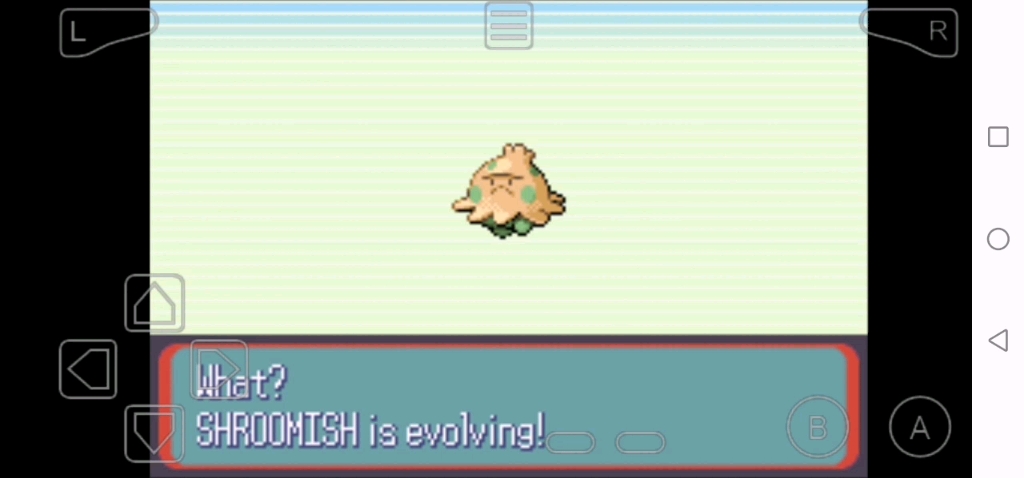 蘑蘑菇进化成斗笠菇神奇宝贝