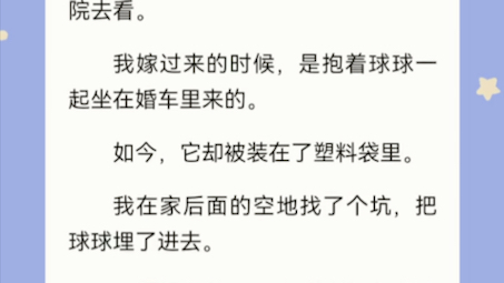 [图]我测出怀孕的第二天，老公沈浩的亲戚们都来了，其间沈浩的侄子很喜欢我的小狗球球，抱着它爱不释手。等他们走后，我起床去找球球，却怎么也找不到…