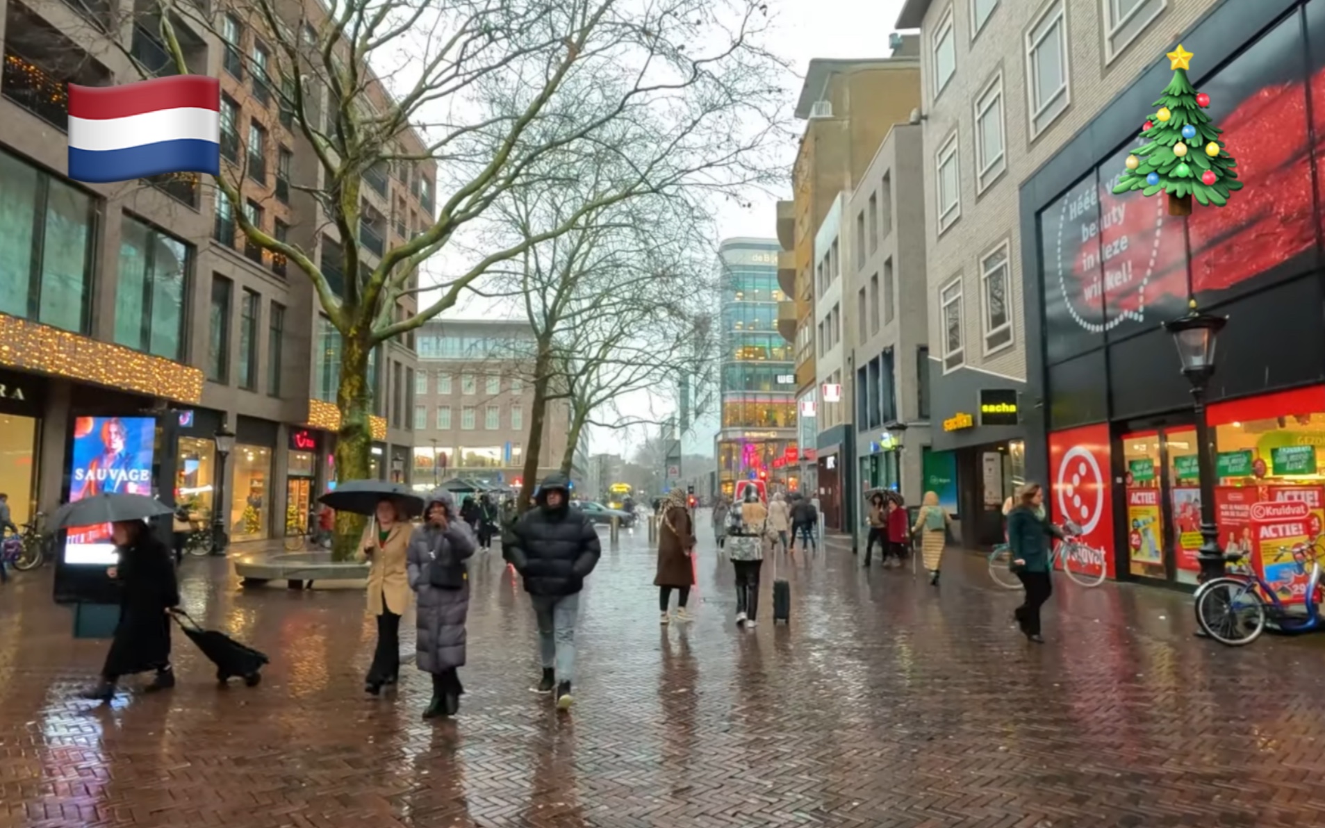 【超清】圣诞节雨中漫步游荷兰乌得勒支(Utrecht)|荷兰第四大城市 拍摄日期:2022.12哔哩哔哩bilibili