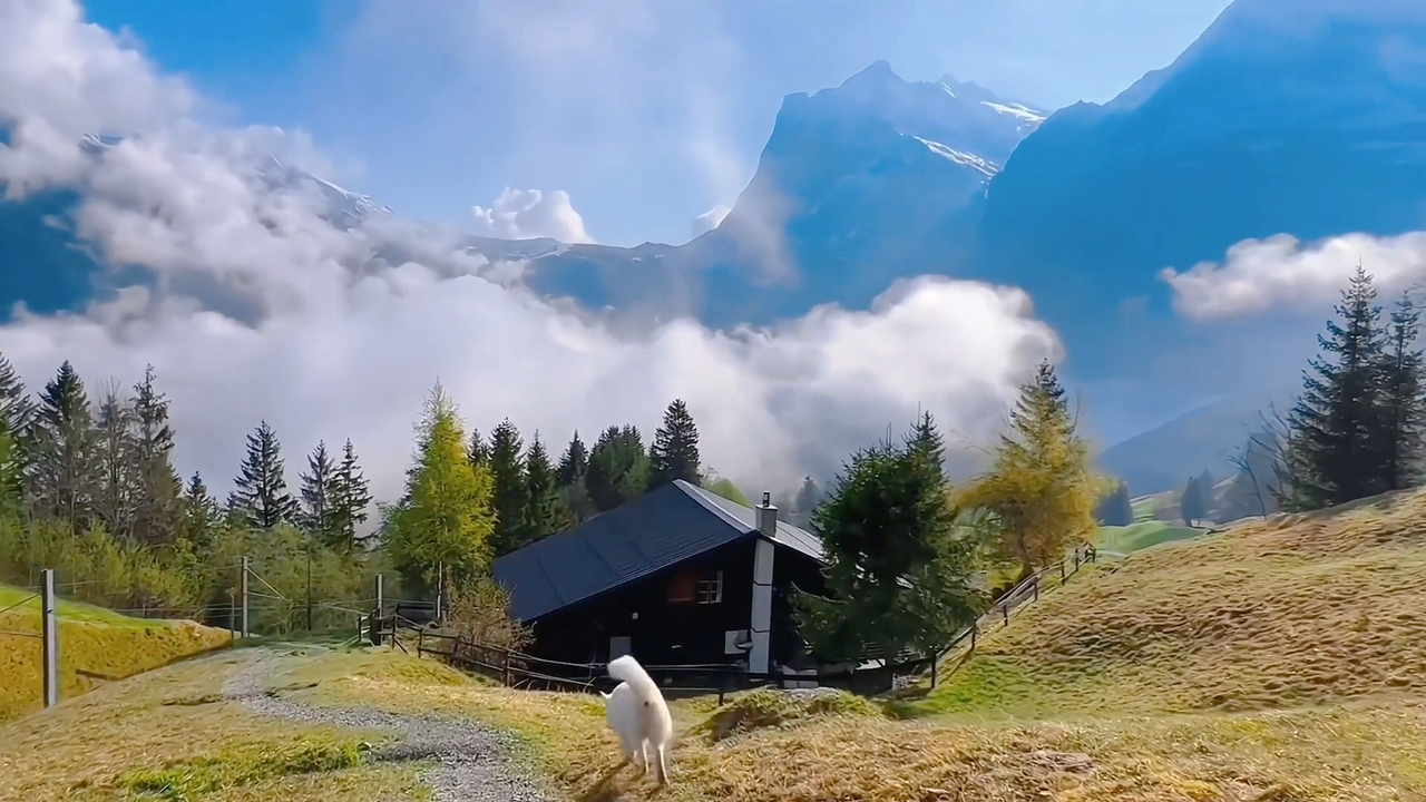 或许你也喜欢这种氛围吧.#治愈系风景 #瑞士 #云雾缭绕人间仙境