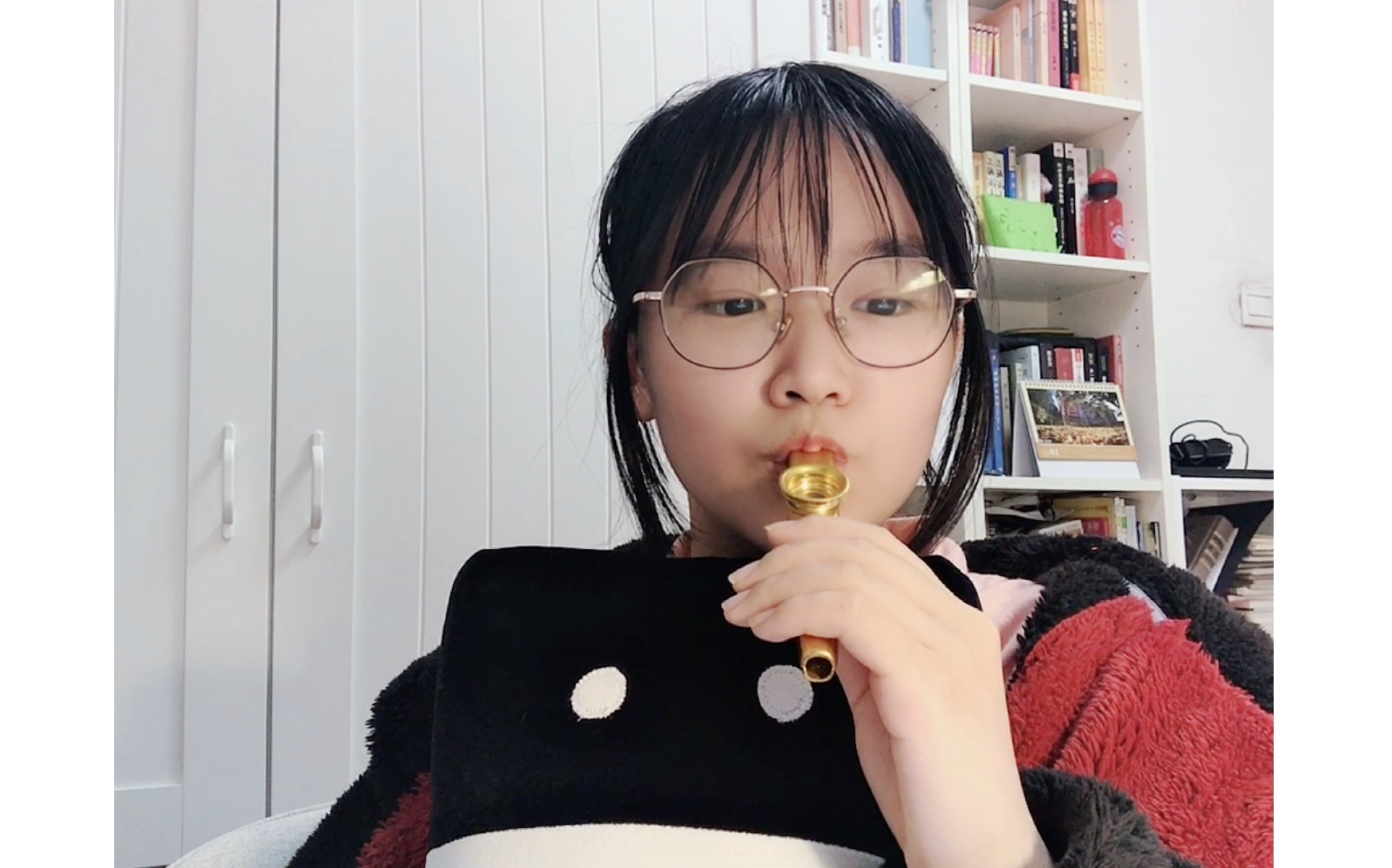 卡祖笛吹奏德国著名进行曲《普鲁士的荣耀》