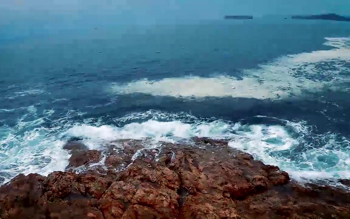 【日常】体验大海的波涛汹涌 东部盐田大梅沙之旅