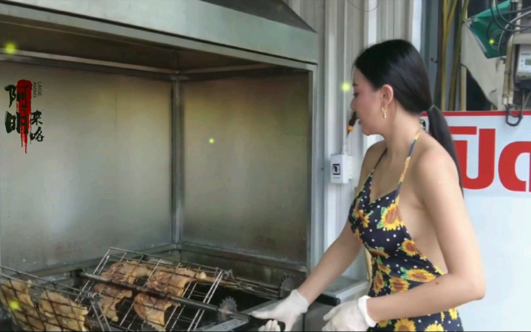 泰国街道食物烤鸡软焦点图象 库存照片. 图片 包括有 油煎, 食物, 可口, 贝多芬, 轰隆的, 午餐 - 120277084