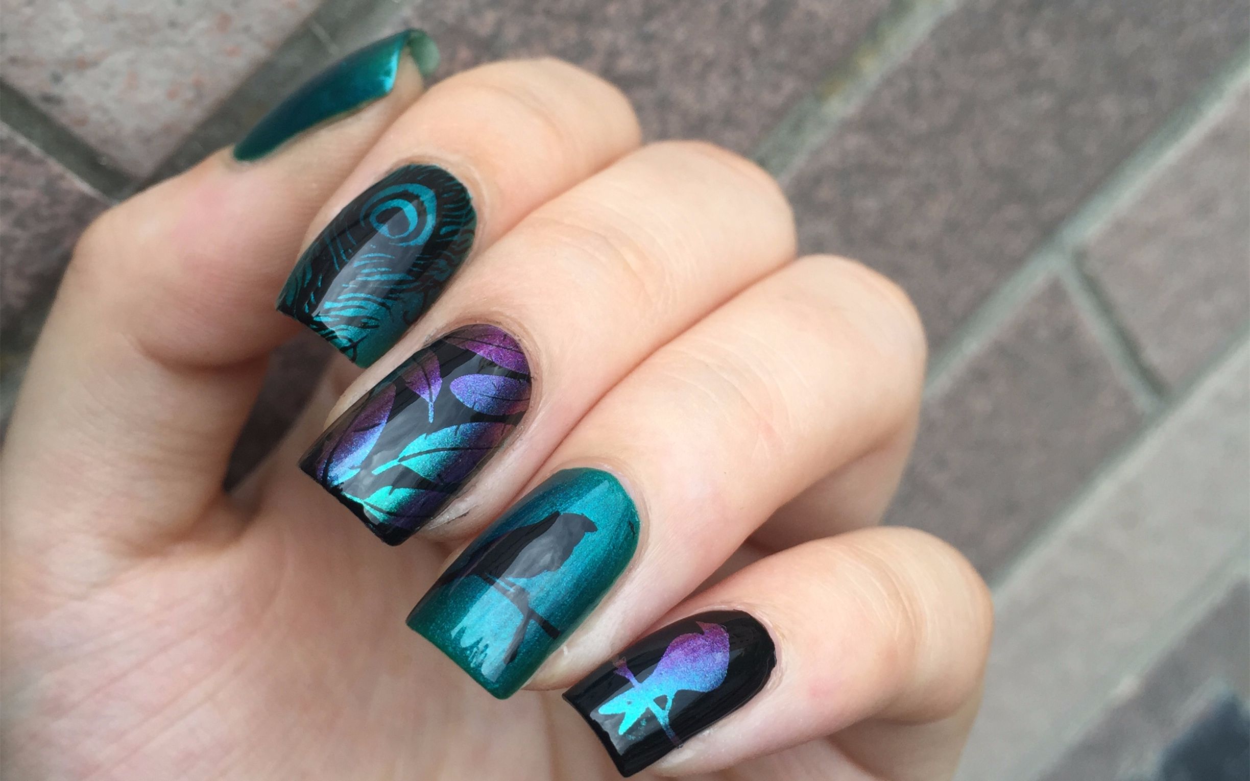 【一块冷静的豆腐】磁性偏光羽毛美甲