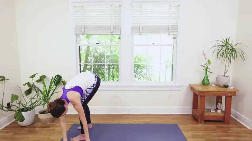 Yoga For Beginners Mind  Yoga With Adriene 