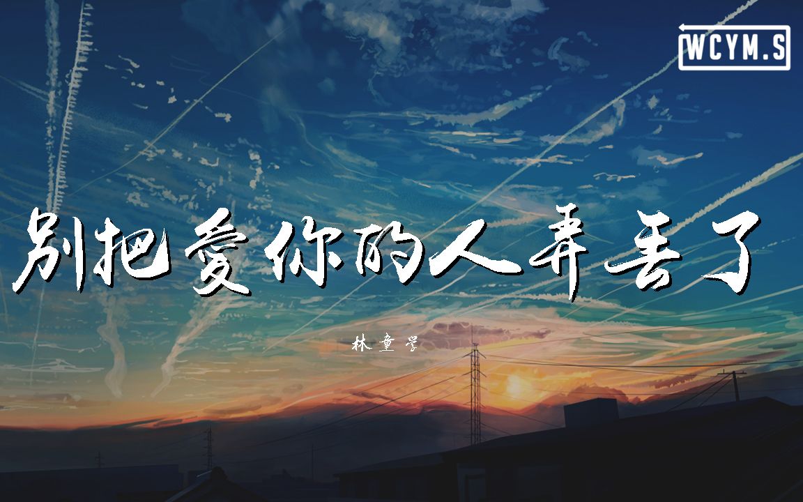 [图]林童学 - 别把爱你的人弄丢了【動態歌詞/Lyrics Video】