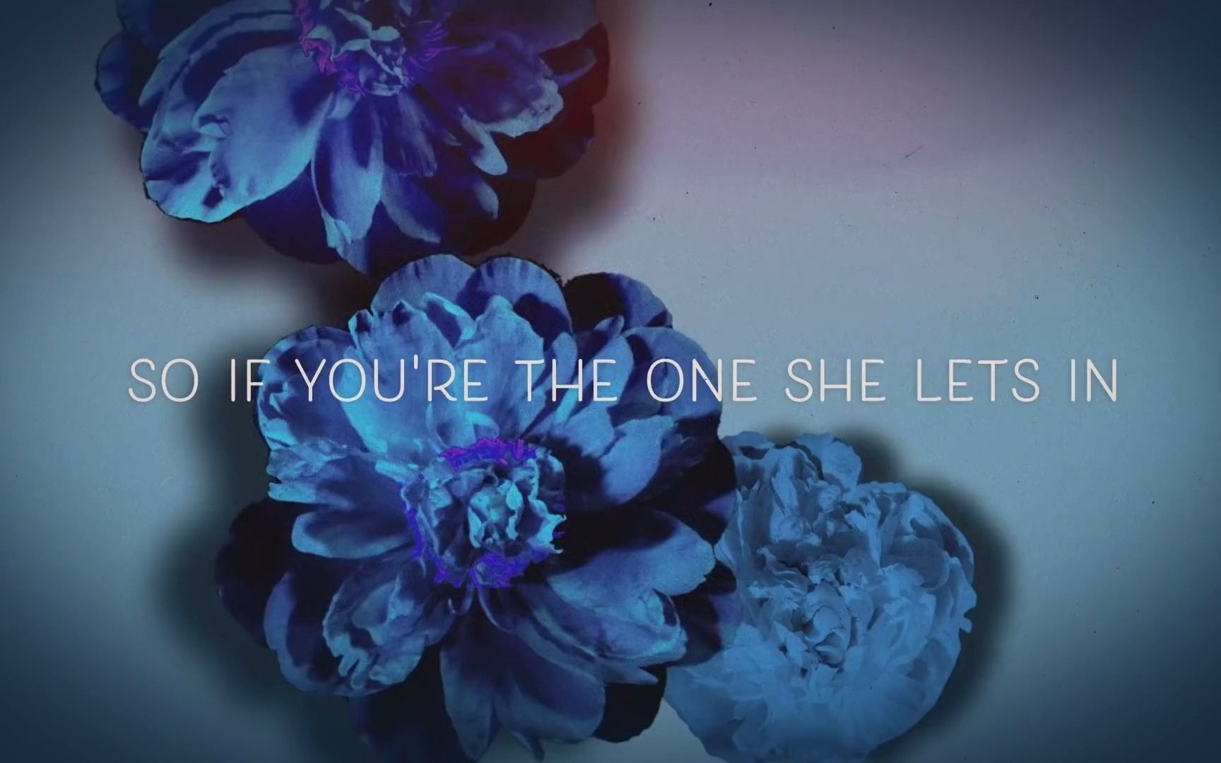 [图]Forest Blakk - If You Love Her (feat. Meghan Trainor) [Official Lyric Video]