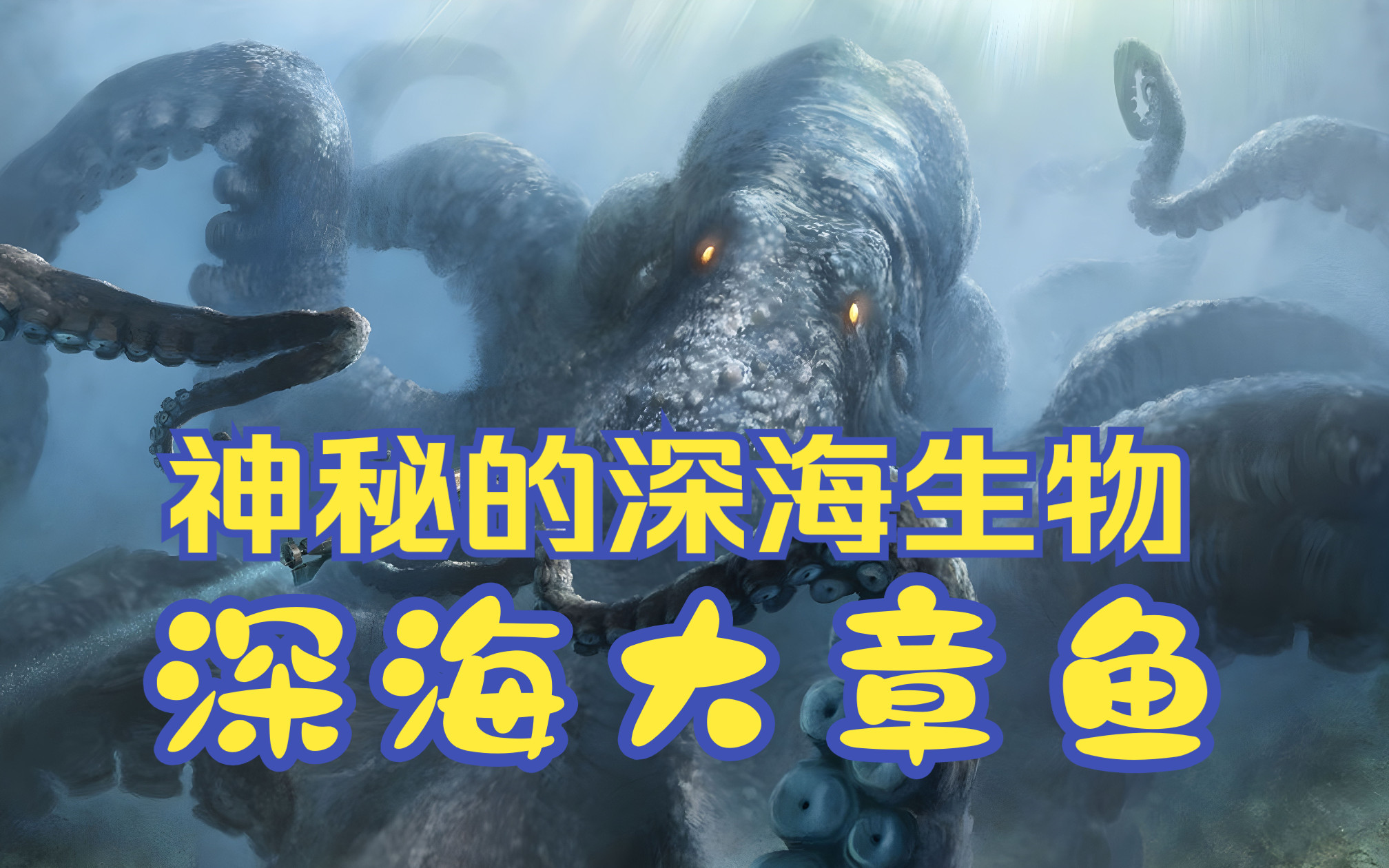 神秘深海生物——深海大章鱼哔哩哔哩bilibili