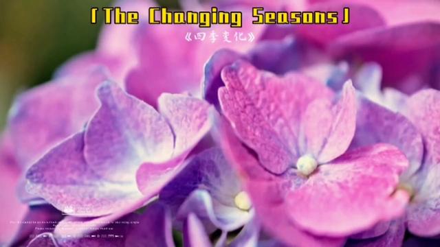 [图]The Changing Seasons「世界顶级轻音乐」